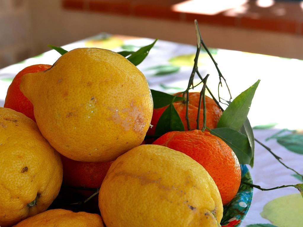 カンポフェリーチェ・ディ・ロッチェッラ Sicily By Dreamsヴィラ エクステリア 写真